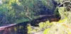 LOT 9 Bauhinia Dr, Carruchan, Qld 4816-Image