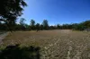 Lot 9, Princess, Duaringa, Qld 4712-Image