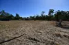 Lot 9, Princess, Duaringa, Qld 4712-Image