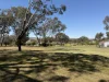 Lot 9, Regan St, Coolah, NSW 2843-Image