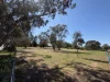 Lot 9, Regan St, Coolah, NSW 2843-Image