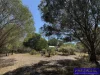 Lot 9, South Kerton Road, Nanango, Qld 4615-Image