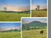 Lot 9, Stage 2, Kyogle Views Estate, Kyogle, NSW 2474-Image