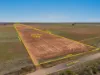 Lot 912 Smith Road, Lower Light, SA 5501