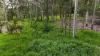 Lot 921, Bulankoff Road, Tolga, Qld 4882-Image