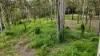Lot 921, Bulankoff Road, Tolga, Qld 4882-Image
