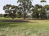 Lot 96 Pinery Road, Owen, SA 5460
