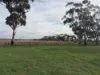 Lot 96 Pinery Road, Owen, SA 5460-Image