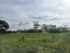 Lot 96 Pinery Road, Owen, SA 5460-Image