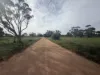Lot 96 Pinery Road, Owen, SA 5460-Image