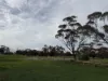 Lot 96 Pinery Road, Owen, SA 5460-Image