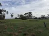 Lot 96 Pinery Road, Owen, SA 5460-Image