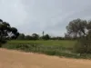 Lot 96 Pinery Road, Owen, SA 5460-Image