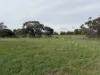 Lot 96 Pinery Road, Owen, SA 5460-Image