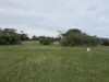 Lot 96 Pinery Road, Owen, SA 5460-Image