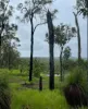 Lot 99, Pacific Drive, Deepwater, Qld 4674-Image