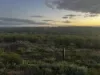 Lot A Teal Flat Road, Walker Flat, SA 5238-Image