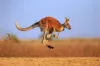 Lot A15, 22-32 Centenary Road, Hammond, SA 5431-Image