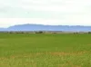 Lot A15, 22-32 Centenary Road, Hammond, SA 5431-Image