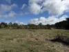 Lot CA 12, 41 Avoca Road., Talbot, Vic 3371-Image