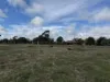 Lot CA 12, 41 Avoca Road., Talbot, Vic 3371-Image