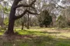 Lot CA13, 660 Navigators Road, Navigators, Vic 3352-Image