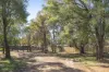 Lot PL 212, Wise Road, Margaret River, WA 6285-Image