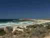 Lot Section 320, Lincoln Highway, Lipson, SA 5607-Image