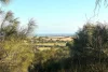 Lot Section 320, Lincoln Highway, Lipson, SA 5607-Image