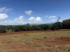 Lot Subdivision, Peeramon Road, Peeramon, Qld 4885-Image