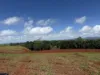 Lot Subdivision, Peeramon Road, Peeramon, Qld 4885-Image
