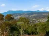 Lot1/73 Pritchards Lane, Dysart, Tas 7030-Image