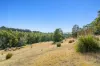 Lot1, Devlyns Road, Birchs Bay, Tas 7162-Image