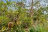 Lot1, Devlyns Road, Birchs Bay, Tas 7162-Image