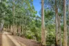 Lot1, Devlyns Road, Birchs Bay, Tas 7162-Image