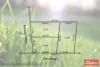 Lots 20-22 Cnr Bowman Crt & Potts Rd, Evanston Park, SA 5116-Floorplan