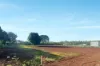 Lots 21 & 22 113 Tate Road, Tolga, Qld 4882-Image