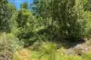Lots 9 & 10  Esperance Coast Road, Dover, Tas 7117-Image