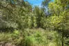 Lots 9 & 10  Esperance Coast Road, Dover, Tas 7117-Image