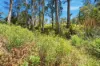 Lots 9 & 10  Esperance Coast Road, Dover, Tas 7117-Image