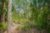 Lots 9 & 10  Esperance Coast Road, Dover, Tas 7117-Image
