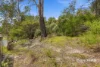 Main Road, Pioneer, Tas 7264-Image