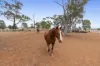 McMillan Street, Ardlethan, NSW 2665-Image