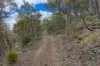 Mt Foster Road, Fingal, Tas 7214-Image