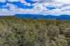 Mt Foster Road, Fingal, Tas 7214-Image
