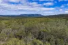Mt Foster Road, Fingal, Tas 7214-Image