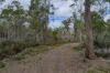 Mt Foster Road, Fingal, Tas 7214-Image