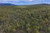 Mt Foster Road, Fingal, Tas 7214-Image