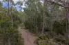 Mt Foster Road, Fingal, Tas 7214-Image