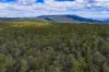Mt Foster Road, Fingal, Tas 7214-Image
